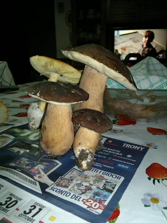 사투르니아 Poggio Mario 빌라 외부 사진